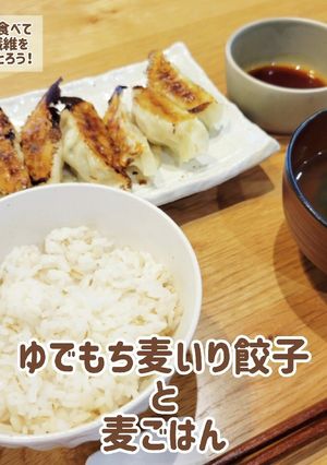 ゆでもち麦いり餃子-レシピのメイン写真