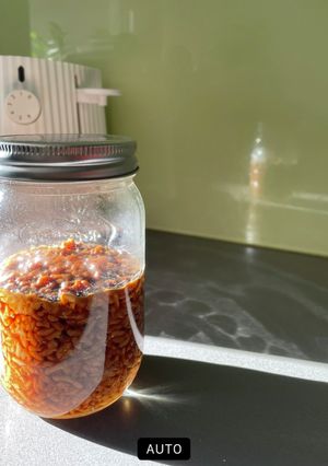 時短！ヨーグルトメーカーで醤油麹-レシピのメイン写真