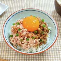 基本からアレンジまで！思わずつくりたくなる「ツナ 納豆 ご飯」の