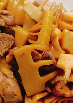 たけのこと鶏肉の煮物-レシピのメイン写真