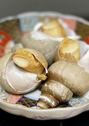 バイ貝の煮つけ-レシピのメイン写真
