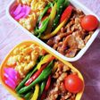 のっけ弁☆照り焼きカラフルピーマン弁当☆