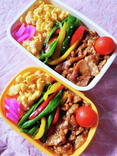 のっけ弁☆照り焼きカラフルピーマン弁当☆-レシピのメイン写真