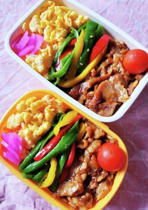 のっけ弁☆照り焼きカラフルピーマン弁当☆-レシピのメイン写真