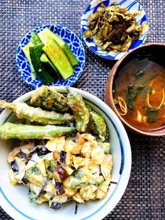 夏野菜のかき揚げ丼-レシピのメイン写真