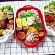 毎日のお弁当381