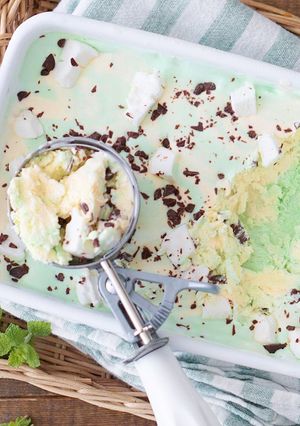 夏に手作り☀チョコミントマーブルアイス-レシピのメイン写真