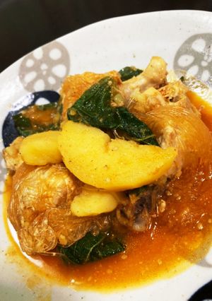 【簡単】手羽元のカムジャタン-レシピのメイン写真