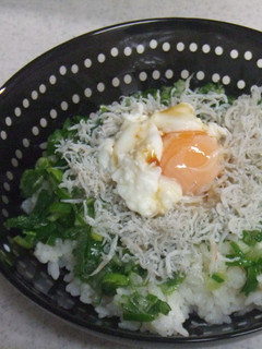 旨葱とじゃこの丼-レシピのメイン写真