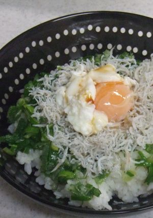 旨葱とじゃこの丼-レシピのメイン写真