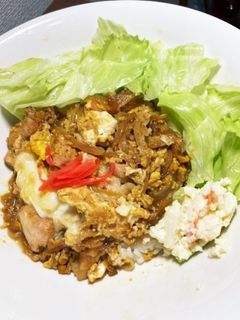 男の一人暮らし。夏休み前の冷蔵庫整理丼-レシピのメイン写真