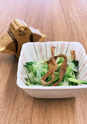 【大崎市】さきいかのカミカミサラダ-レシピのメイン写真