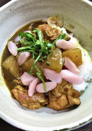 さっぱり夏カレー-レシピのメイン写真
