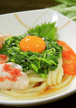 ぶっかけモロヘイヤうどん【食遺産】-レシピのメイン写真