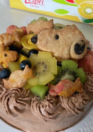キウイとマンゴーのチョコレートケーキ-レシピのメイン写真