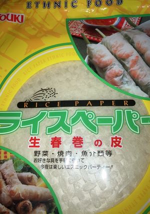 豚肉と野菜のオガタ生春巻き-レシピのメイン写真