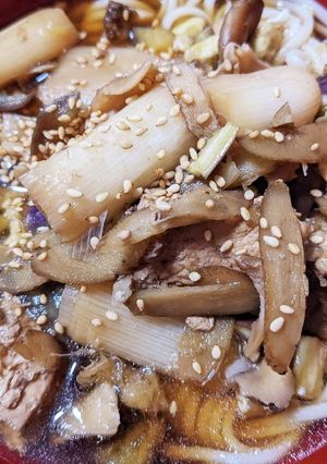 一手間でZEPPIN☆香る鶏ごぼうどん-レシピのメイン写真