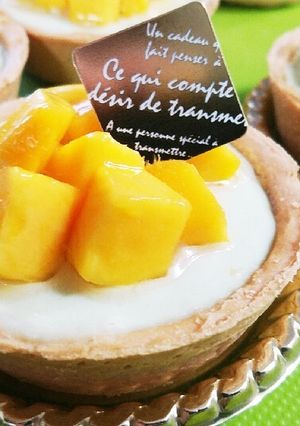 マンゴー&抹茶レアチーズケーキのタルト-レシピのメイン写真