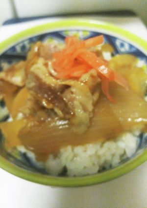 圧力鍋で！ほろほろ豚丼-レシピのメイン写真