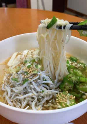 緑茶のスタミナそうめん-レシピのメイン写真