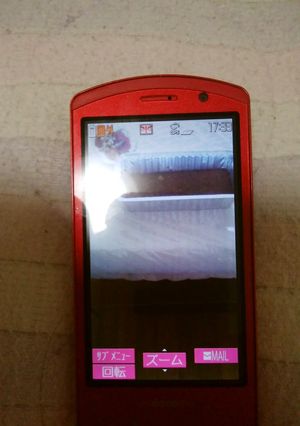低カロリーな紅茶パウンドケーキのレシピ-レシピのメイン写真