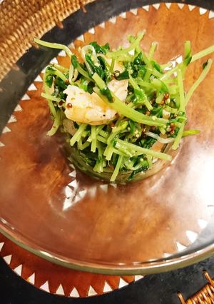 豆苗と海老のサラダ-レシピのメイン写真