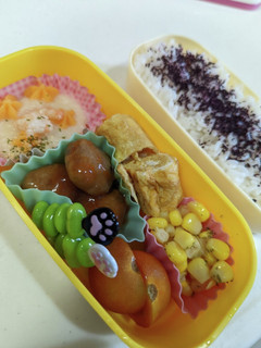 夏休みのお弁当 8/12-レシピのメイン写真