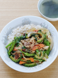 ゴーヤーの中華飯-レシピのメイン写真