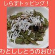 【簡単男飯】ピーマンと獅子唐のおひたし