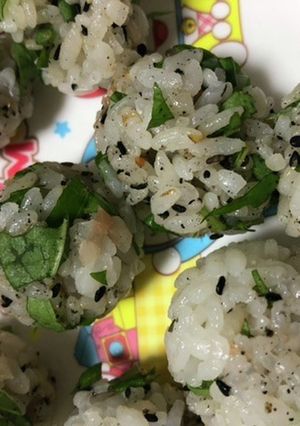 シソ香るミニおにぎり　離乳食　幼児食-レシピのメイン写真