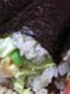 *サラダ巻き*2009年恵方巻き-レシピのメイン写真