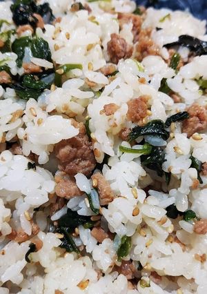 豚ひき肉とほうれん草の混ぜご飯☆-レシピのメイン写真