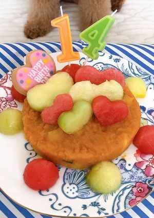 わんちゃんのケーキ(14歳)-レシピのメイン写真