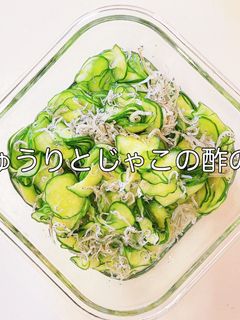 きゅうりとじゃこの酢の物-レシピのメイン写真