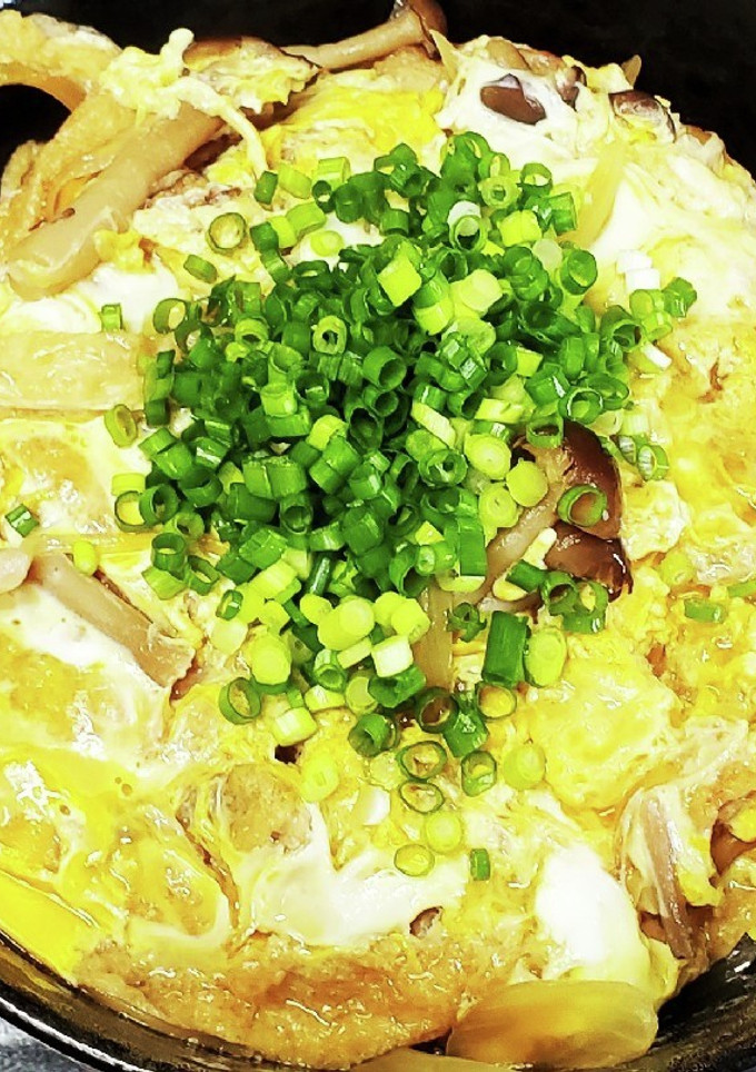 【安くて簡単】油揚げ丼-レシピのメイン写真