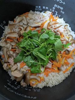 ツナとキノコの炊き込みご飯-レシピのメイン写真