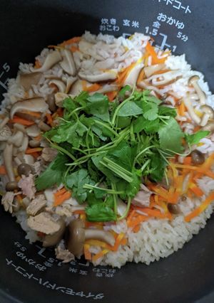 ツナとキノコの炊き込みご飯-レシピのメイン写真