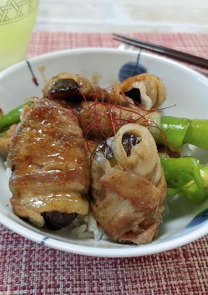 野菜たっぷりスタミナ丼-レシピのメイン写真