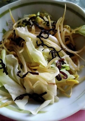 塩こんぶで!無限キャベツもやし-レシピのメイン写真