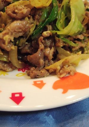 キャベツと豚肉の炒め物-レシピのメイン写真