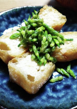 ニラの花蕾炒め-レシピのメイン写真