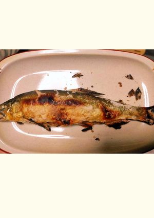 鮎の塩焼き-レシピのメイン写真