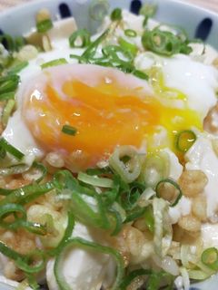我が家の丼 温泉玉子の豆腐丼-レシピのメイン写真