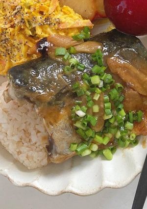ほんのり甘め！鯖の味噌煮-レシピのメイン写真