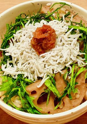 れんこんの炊き込みご飯-レシピのメイン写真
