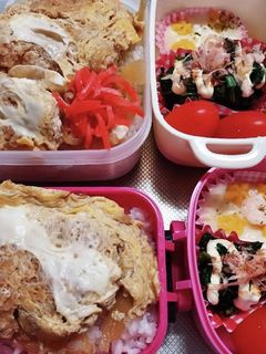 旦那、娘弁当(8/19)-レシピのメイン写真