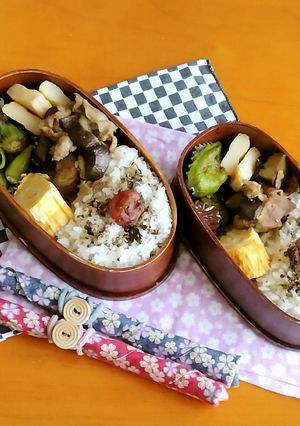 お弁当2022年8月19日-レシピのメイン写真