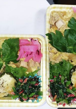 【夫婦弁当250】親子丼とピーマンポテト-レシピのメイン写真