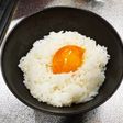 卵黄醤油漬け