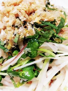 ☆薬味たっぷり☆大根サラダ-レシピのメイン写真